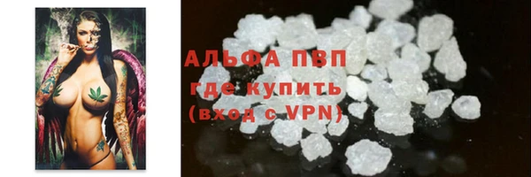 прущие грибы Богородицк