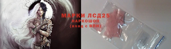 прущие грибы Богородицк