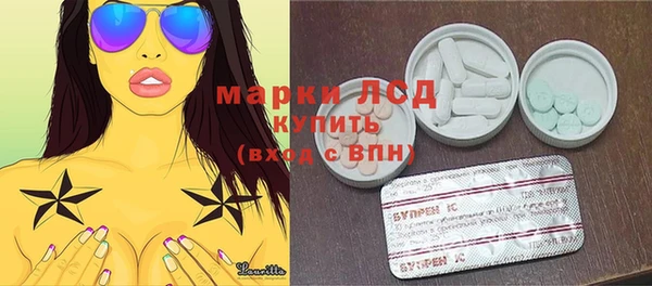 прущие грибы Богородицк