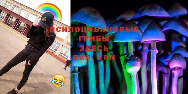 прущие грибы Богородицк