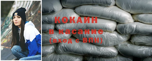 прущие грибы Богородицк