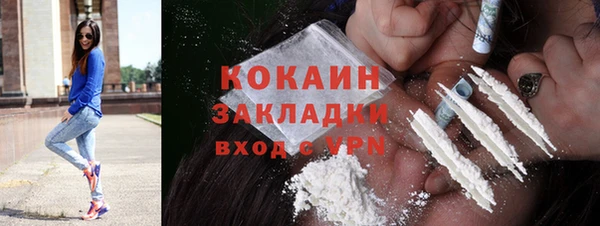 прущие грибы Богородицк