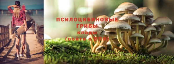 прущие грибы Богородицк