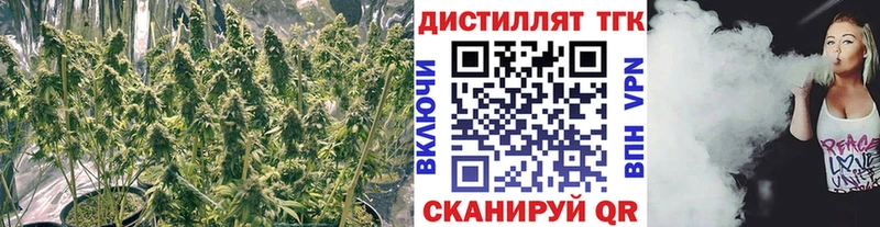 shop официальный сайт  ссылка на мегу ТОР  Острогожск  ТГК THC oil 