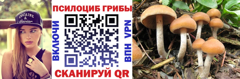 цена   даркнет клад  Галлюциногенные грибы мицелий  Острогожск 